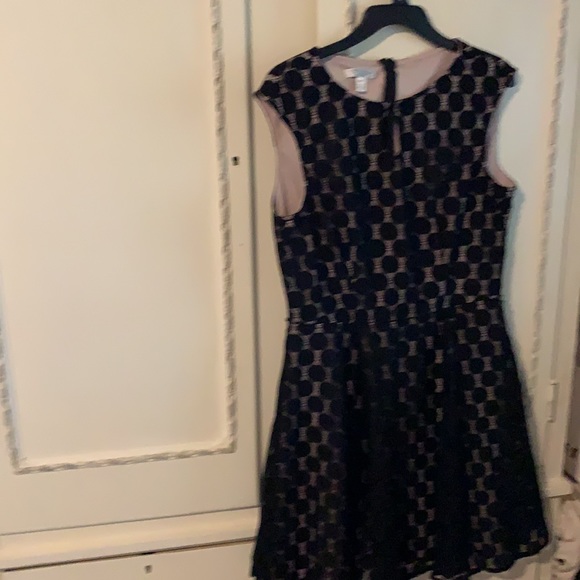 London Style collection 14 Petite - Picture 7 of 9